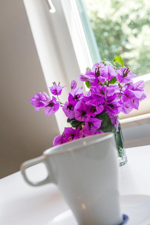 Dubrovnik Apartments Lele מראה חיצוני תמונה
